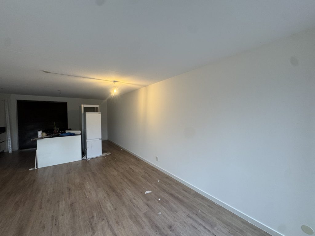 Lange woonkamer van een appartement met een open keuken en een lichte, gladde wand